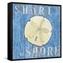 Coastal USA Sand Dollar-Paul Brent-Framed Stretched Canvas