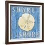 Coastal USA Sand Dollar-Paul Brent-Framed Art Print