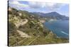 Coastal View Above Castiglione Di Ravello-Eleanor Scriven-Stretched Canvas