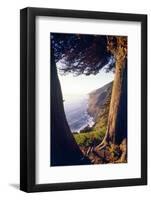 Coastal View at Ragged Point, Big Sur, California-George Oze-Framed Photographic Print