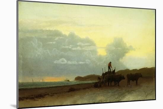 Coastal View, Newport, 1861-Albert Bierstadt-Mounted Giclee Print
