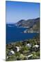 Coastal View of Pino, Le Cap Corse, Corsica, France-Walter Bibikow-Mounted Photographic Print