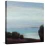 Coastal View Peace-Tim O'toole-Stretched Canvas