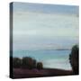 Coastal View Peace-Tim O'toole-Stretched Canvas