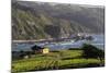 Coastal View, Punihuil, Chiloe, Region Los Lagos, Chile-Fredrik Norrsell-Mounted Photographic Print