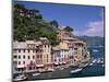 Coastal View, Village and Harbour and Yachts, Portofino, Liguria, Italy-Steve Vidler-Mounted Photographic Print