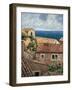 Coastal Village II-Thomas Young-Framed Art Print