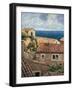 Coastal Village II-Thomas Young-Framed Art Print