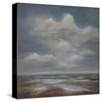 Coastal Walk-Bill Philip-Stretched Canvas