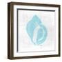 Coastal Waters 1 V2-Denise Brown-Framed Art Print