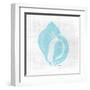 Coastal Waters 1 V2-Denise Brown-Framed Art Print