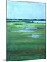 Coastal Waterways-Herb Dickinson-Mounted Photographic Print