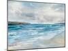 Coastal Waves-Paul Duncan-Mounted Art Print