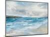 Coastal Waves-Paul Duncan-Mounted Art Print