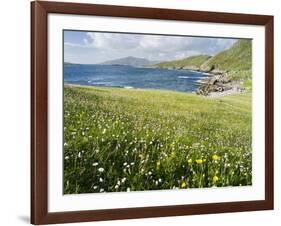 Coastal Wildflowers, Huisinis, Machair. Isle of Harris, Scotland-Martin Zwick-Framed Photographic Print