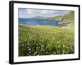 Coastal Wildflowers, Huisinis, Machair. Isle of Harris, Scotland-Martin Zwick-Framed Photographic Print