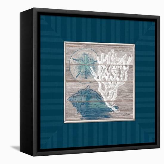 Coastal Wonders-Sam Appleman-Framed Stretched Canvas