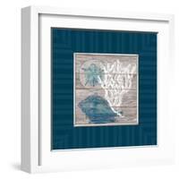 Coastal Wonders-Sam Appleman-Framed Art Print