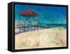 Coastal-Todd Williams-Framed Stretched Canvas