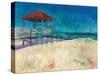 Coastal-Todd Williams-Stretched Canvas