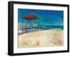 Coastal-Todd Williams-Framed Art Print