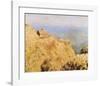 Coastguard's Cottage-Claude Monet-Framed Premium Giclee Print