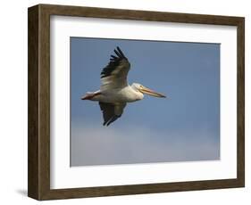 Coasting-Jai Johnson-Framed Giclee Print