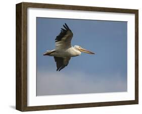 Coasting-Jai Johnson-Framed Giclee Print