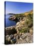 Coastline, Acadia National Park, Maine, New England, USA-Roy Rainford-Stretched Canvas