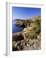 Coastline, Acadia National Park, Maine, New England, USA-Roy Rainford-Framed Photographic Print