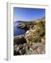 Coastline, Acadia National Park, Maine, New England, USA-Roy Rainford-Framed Photographic Print