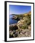 Coastline, Acadia National Park, Maine, New England, USA-Roy Rainford-Framed Photographic Print