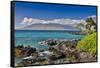 Coastline along Wailea Beach Path near Polo Beach Park, Maui, Hawaii.-Darrell Gulin-Framed Stretched Canvas