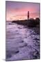 Coastline and Portland Bill Lighthouse at sunset, UK-Ross Hoddinott-Mounted Photographic Print