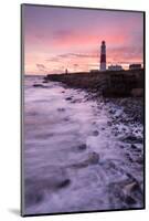 Coastline and Portland Bill Lighthouse at sunset, UK-Ross Hoddinott-Mounted Photographic Print