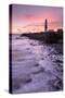 Coastline and Portland Bill Lighthouse at sunset, UK-Ross Hoddinott-Stretched Canvas