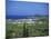 Coastline at Alykes and Alykanas, Zakynthos, Ionian Islands, Greek Islands, Greece, Europe-Lightfoot Jeremy-Mounted Photographic Print