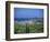 Coastline at Alykes and Alykanas, Zakynthos, Ionian Islands, Greek Islands, Greece, Europe-Lightfoot Jeremy-Framed Photographic Print