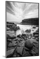 Coastline at Cabrillo National Monument-Andrew Shoemaker-Mounted Photographic Print
