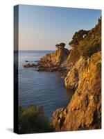 Coastline at Dawn, Calella De Palafrugell, Costa Brava, Catalonia, Spain, Mediterranean, Europe-Stuart Black-Stretched Canvas