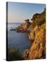 Coastline at Dawn, Calella De Palafrugell, Costa Brava, Catalonia, Spain, Mediterranean, Europe-Stuart Black-Stretched Canvas