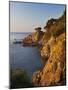 Coastline at Dawn, Calella De Palafrugell, Costa Brava, Catalonia, Spain, Mediterranean, Europe-Stuart Black-Mounted Photographic Print