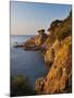 Coastline at Dawn, Calella De Palafrugell, Costa Brava, Catalonia, Spain, Mediterranean, Europe-Stuart Black-Mounted Photographic Print