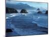 Coastline at Ecola State Park, Oregon Coast, USA-Janis Miglavs-Mounted Photographic Print