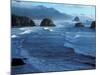 Coastline at Ecola State Park, Oregon Coast, USA-Janis Miglavs-Mounted Photographic Print