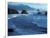 Coastline at Ecola State Park, Oregon Coast, USA-Janis Miglavs-Framed Photographic Print