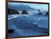 Coastline at Ecola State Park, Oregon Coast, USA-Janis Miglavs-Framed Photographic Print