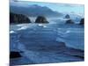 Coastline at Ecola State Park, Oregon Coast, USA-Janis Miglavs-Mounted Photographic Print