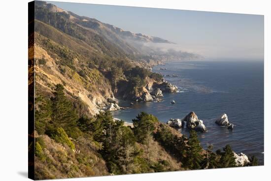 Coastline at Julia Pfeiffer Burns State Park-Stuart-Stretched Canvas