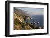 Coastline at Julia Pfeiffer Burns State Park-Stuart-Framed Photographic Print